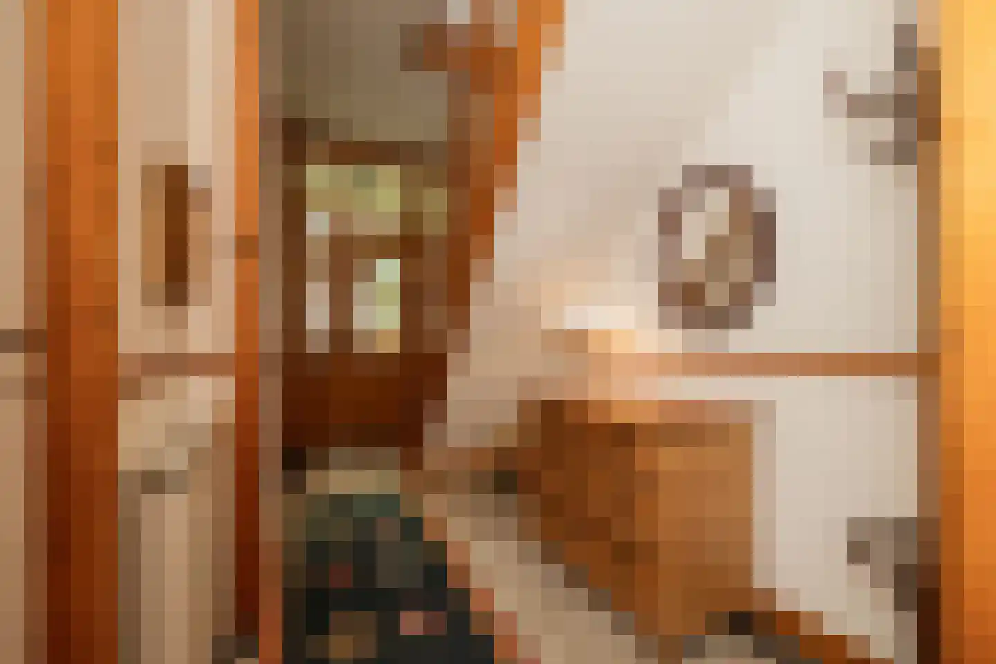 Marconistraat 26 Den Haag thumbnail 11