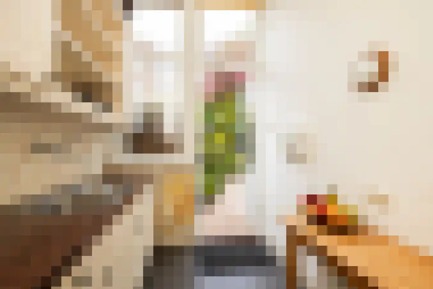 Marconistraat 26 Den Haag thumbnail 20