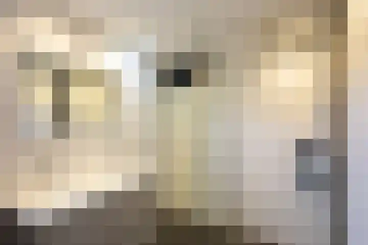 Marconistraat 27 Kudelstaart thumbnail 20