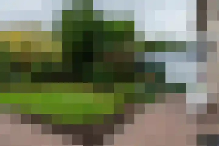 Marconistraat 28 Hoensbroek thumbnail 26