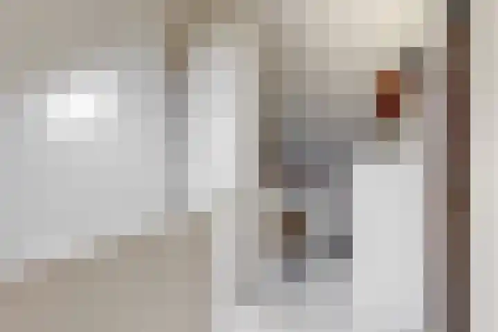 Marconistraat 30 Kudelstaart thumbnail 25