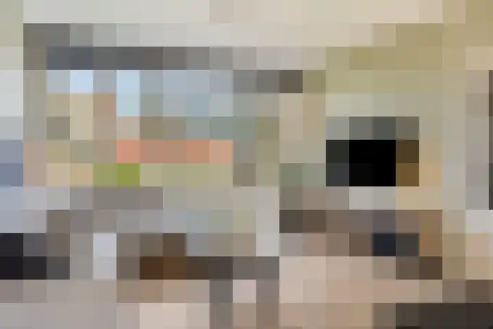 Marconistraat 31 Assen thumbnail 10
