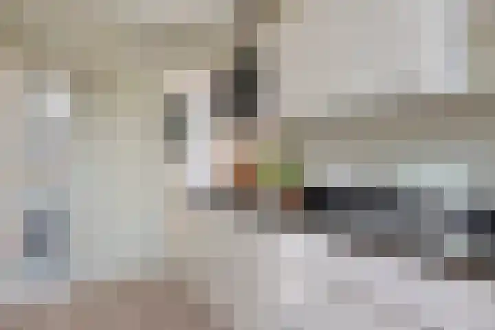 Marconistraat 31 Assen thumbnail 19