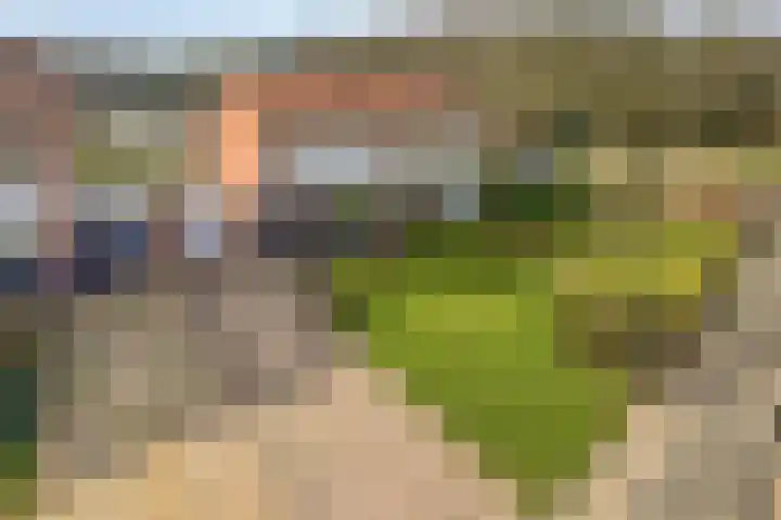 Marconistraat 31 Assen thumbnail 4