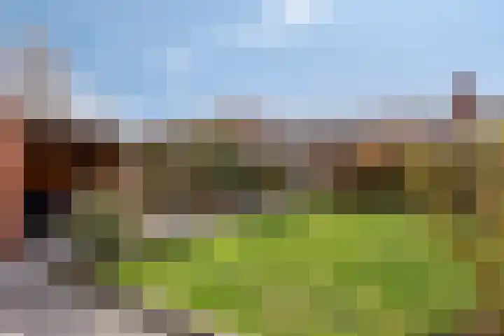 Marconistraat 31 Assen thumbnail 40