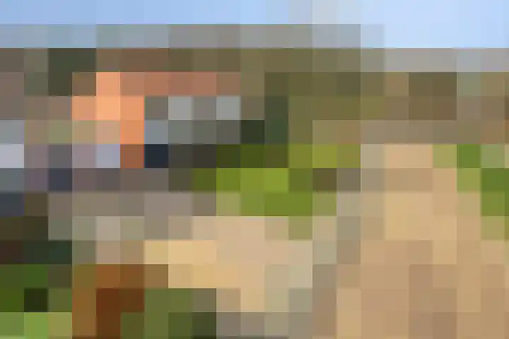 Marconistraat 31 Assen thumbnail 48