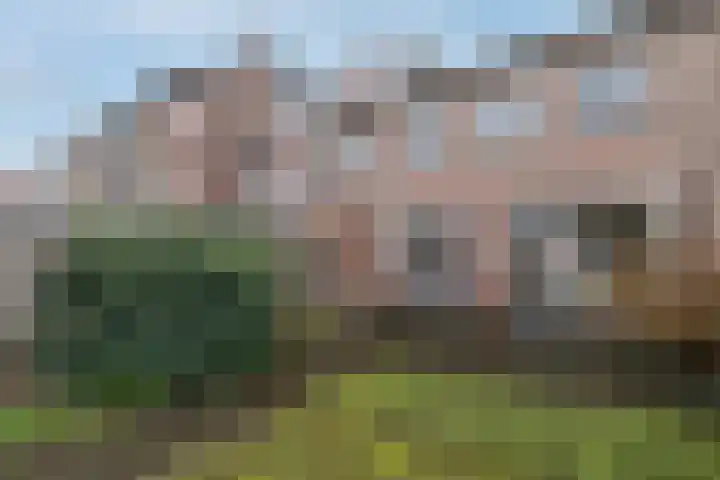 Marconistraat 37 Breda thumbnail 20