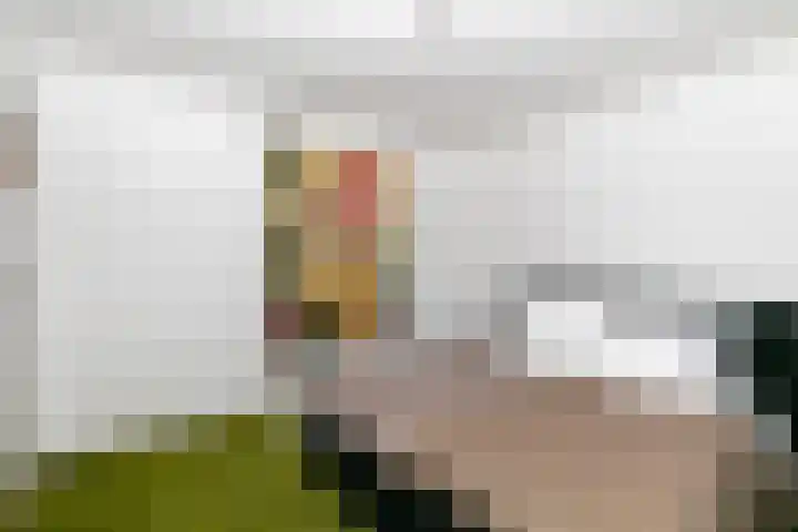 Marconistraat 37 Breda thumbnail 31
