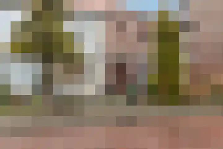 Marconistraat 37 Breda thumbnail 5