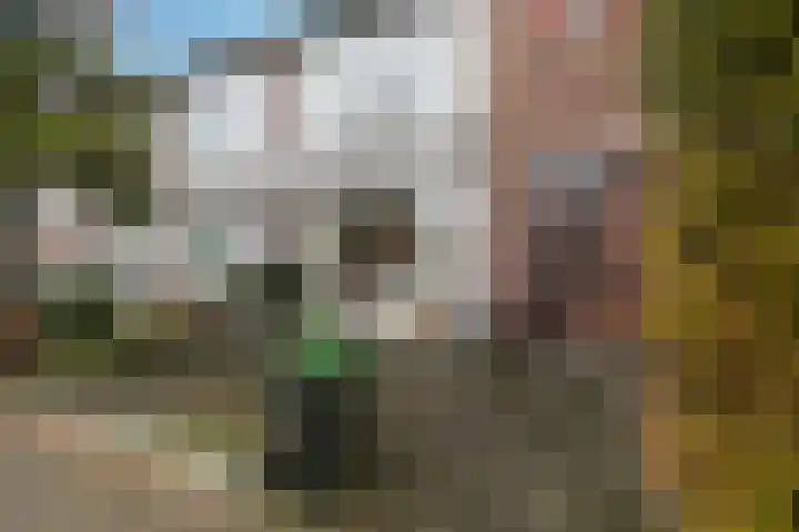 Marconistraat 37 Breda thumbnail 6