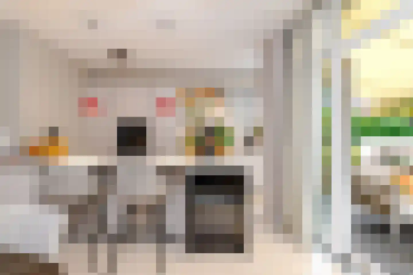 Marconistraat 39 A Schiedam thumbnail 11