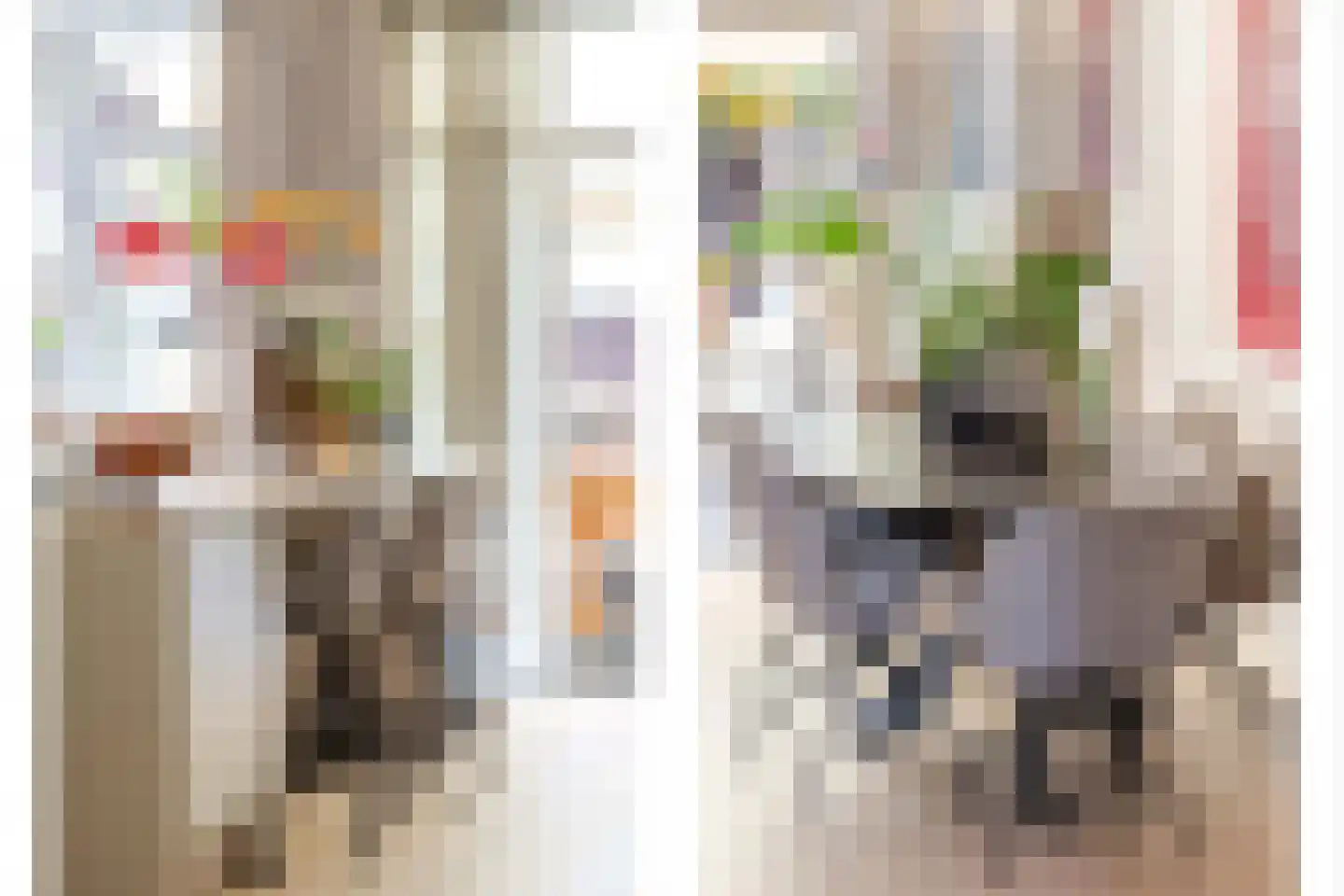 Marconistraat 39 A Schiedam thumbnail 15