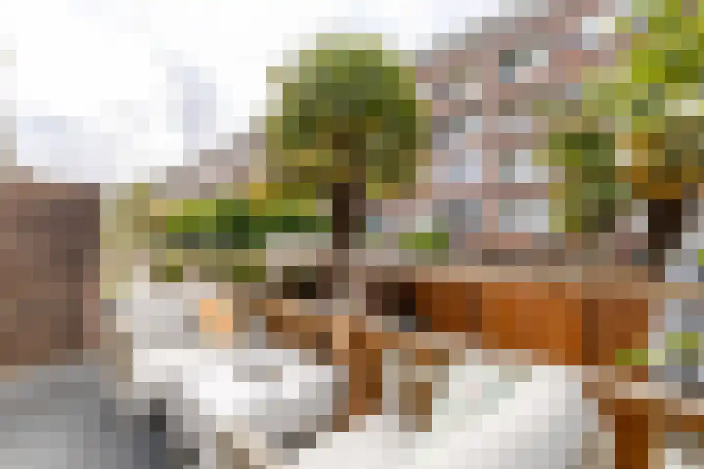 Marconistraat 39 A Schiedam thumbnail 27