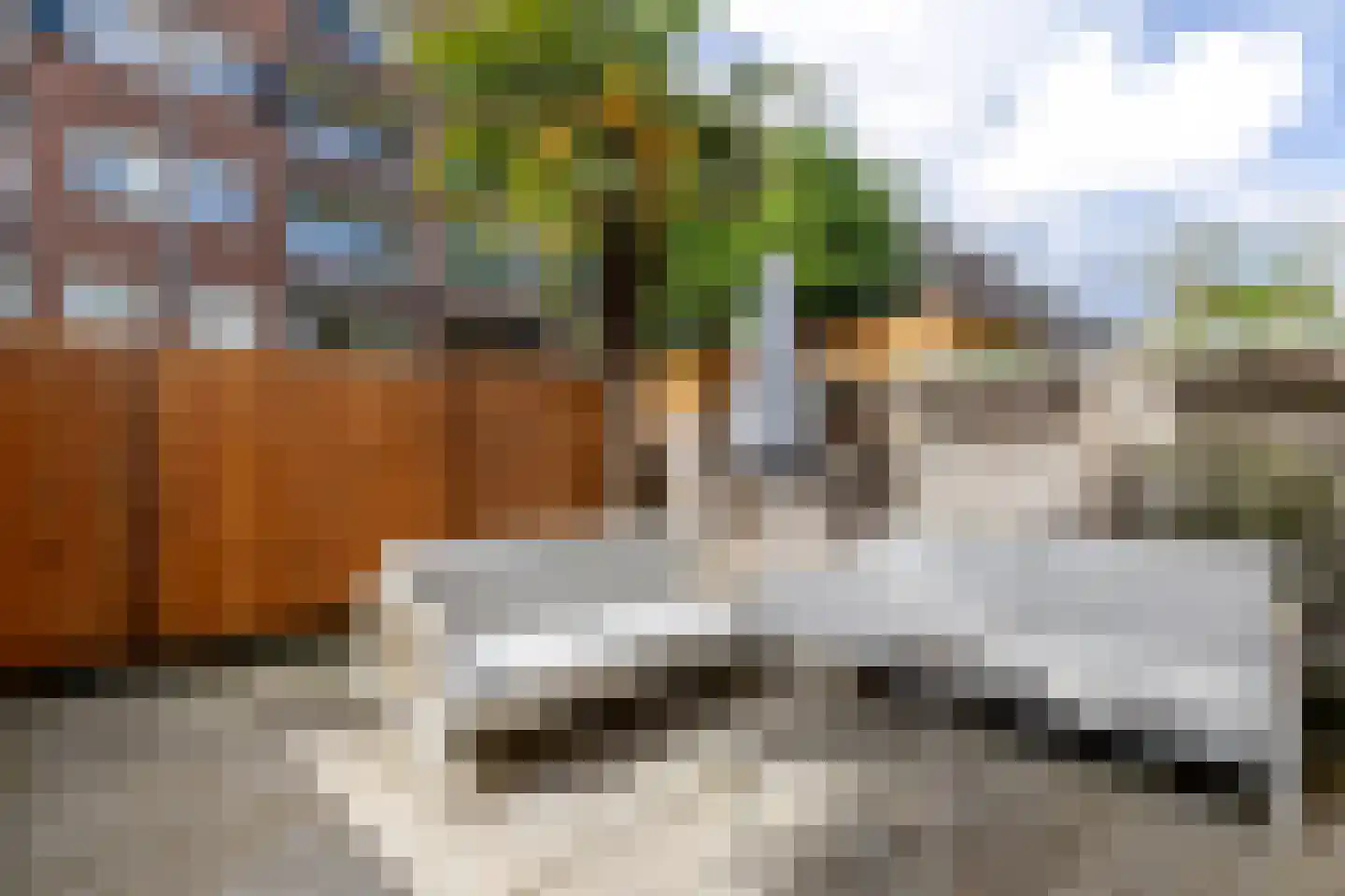 Marconistraat 39 A Schiedam thumbnail 30