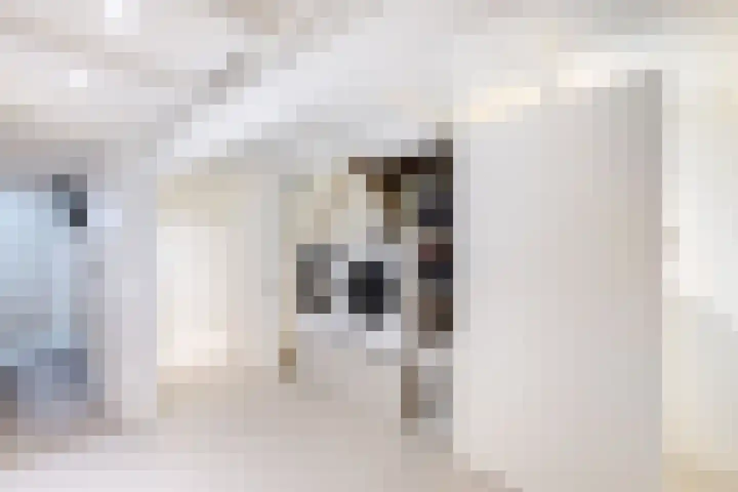 Marconistraat 39 A Schiedam thumbnail 38