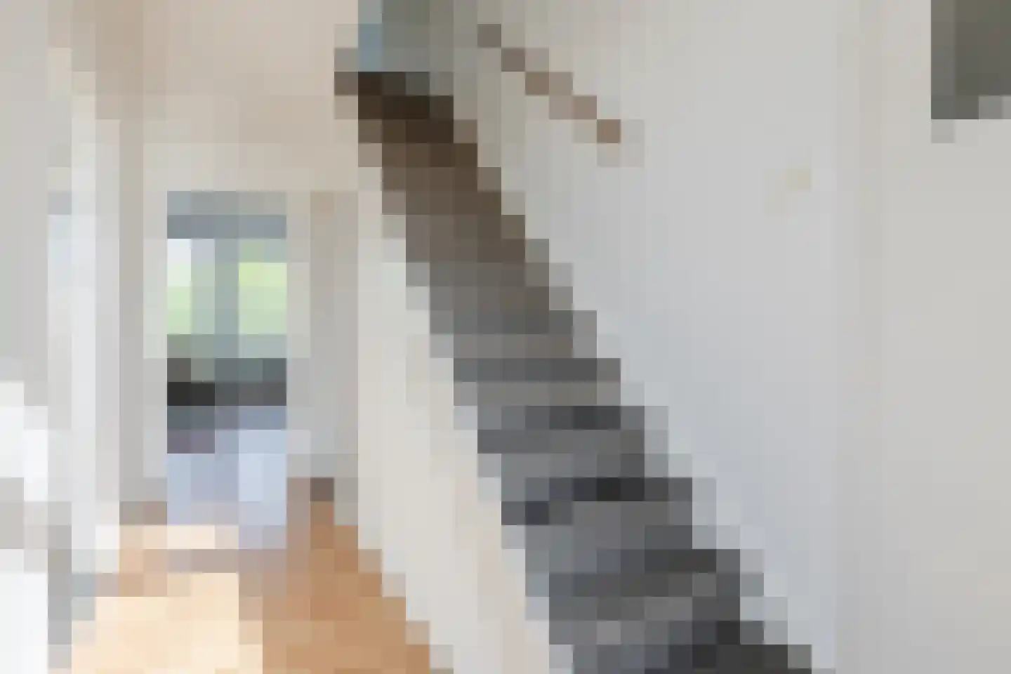 Marconistraat 444 Nijmegen thumbnail 11