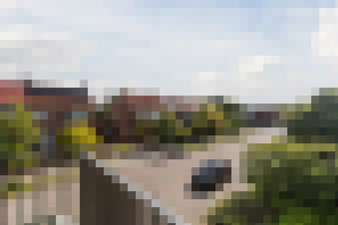 Marconistraat 444 Nijmegen thumbnail 25