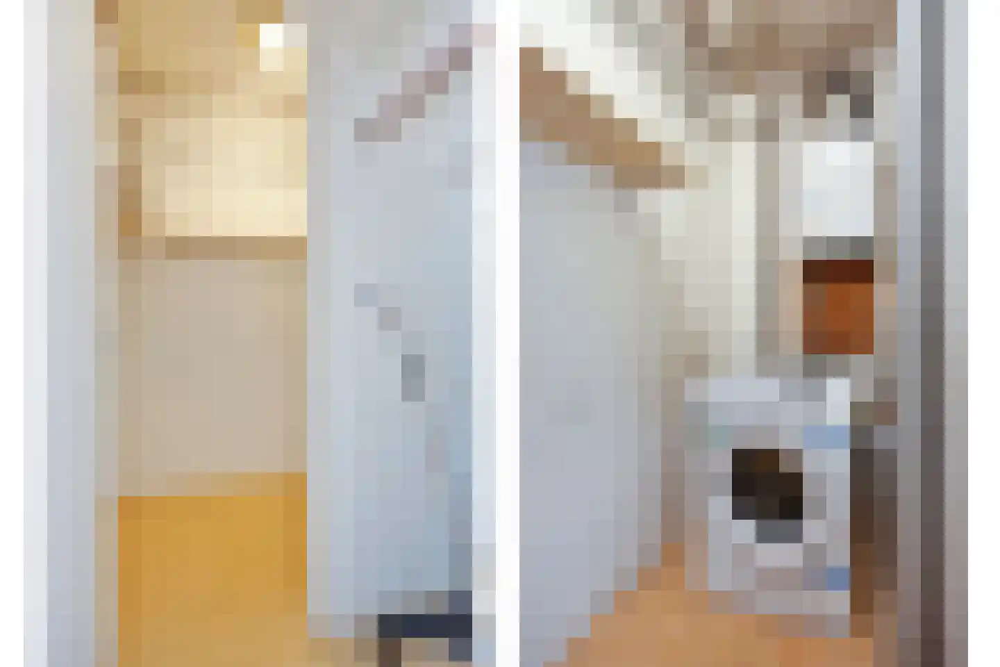 Marconistraat 448 Nijmegen thumbnail 18