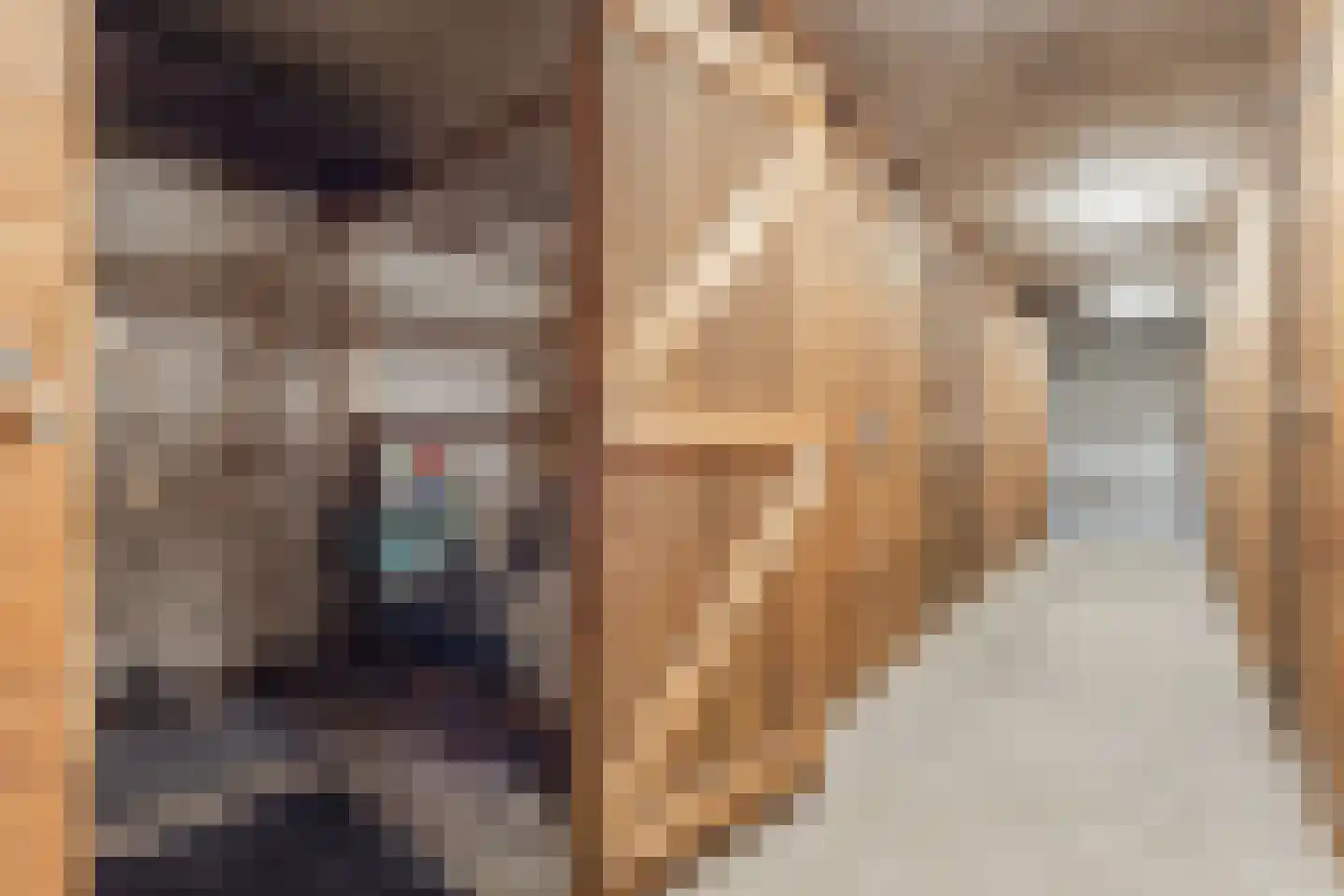 Marconistraat 462 Nijmegen thumbnail 47