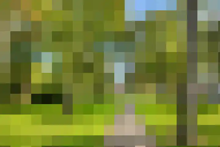 Marconistraat 56 IJmuiden thumbnail 7