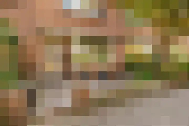 Marconistraat 56 IJmuiden thumbnail 8