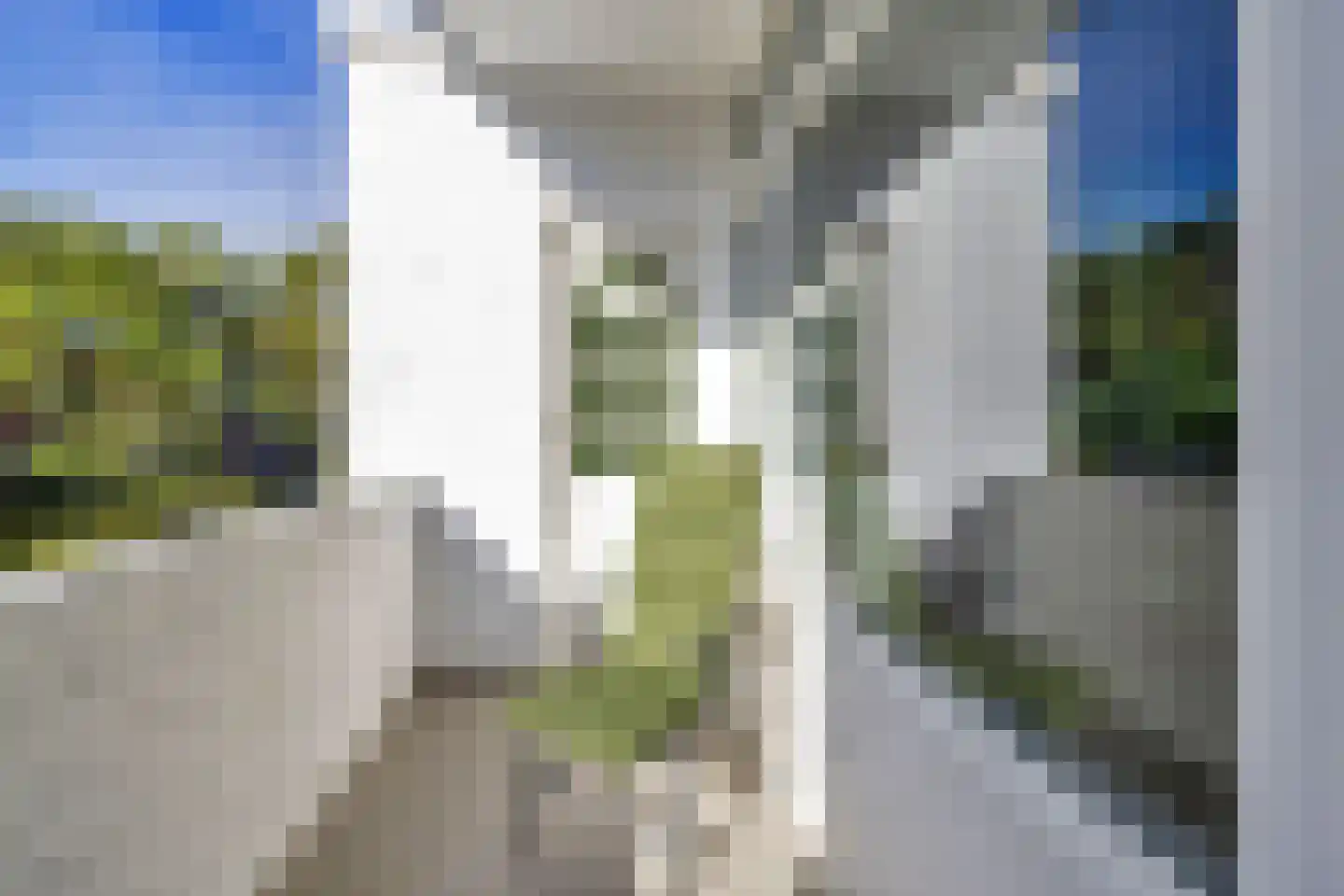 Marconistraat 57 B Schiedam thumbnail 20