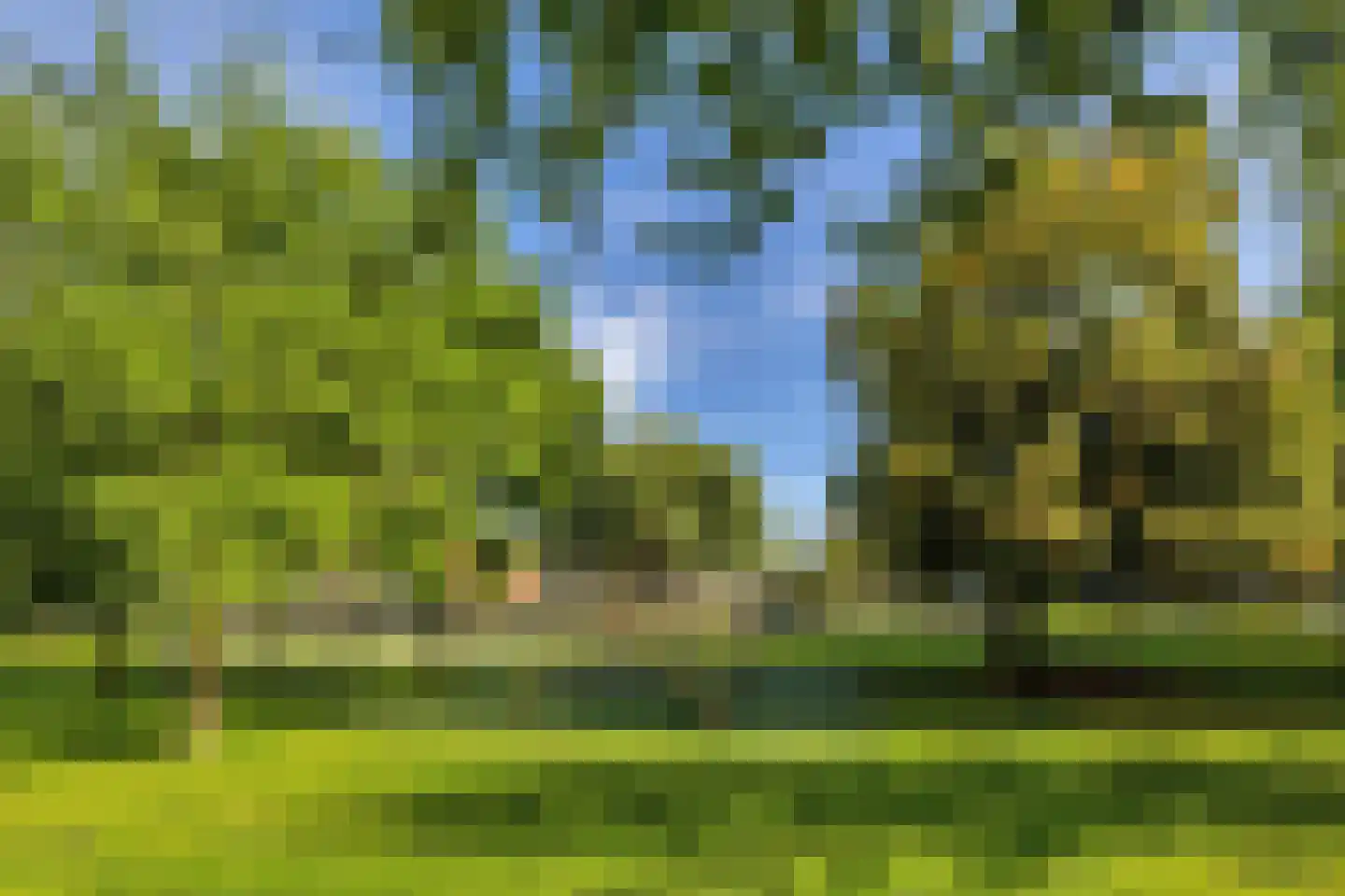 Marconistraat 57 B Schiedam thumbnail 38