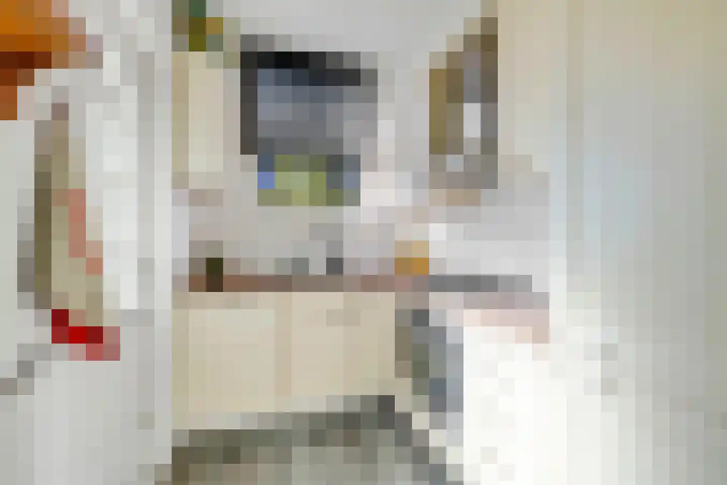 Marconistraat 57 B Schiedam thumbnail 5