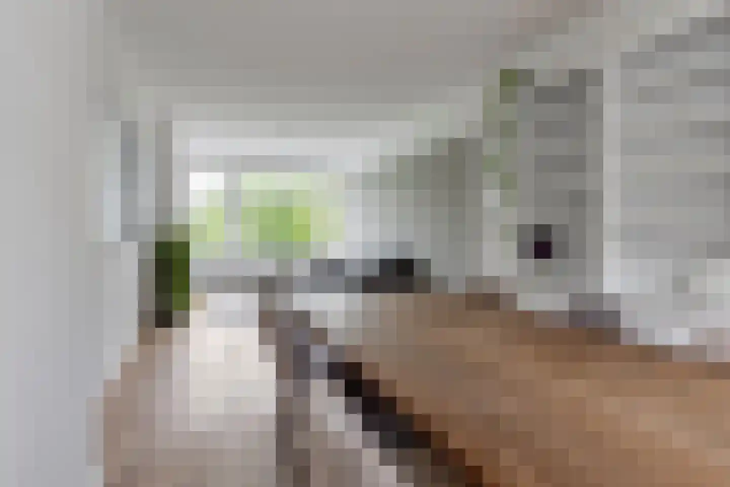 Marconistraat 59 A Schiedam thumbnail 12