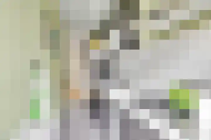 Marconistraat 7 A Schiedam thumbnail 17