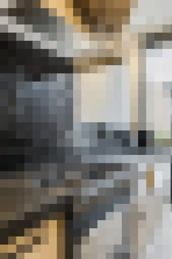 Marconistraat 8 IJmuiden thumbnail 22