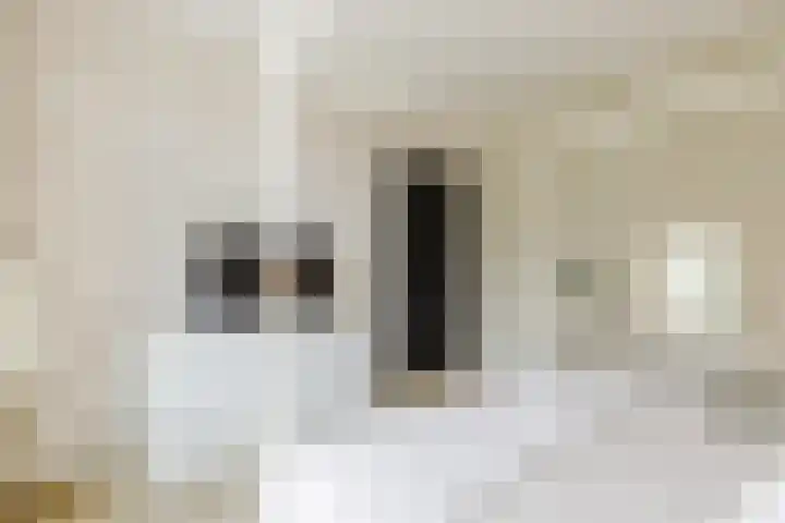 Marconistraat 8 IJmuiden thumbnail 35