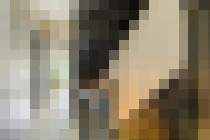 Marconistraat 8 IJmuiden thumbnail 41