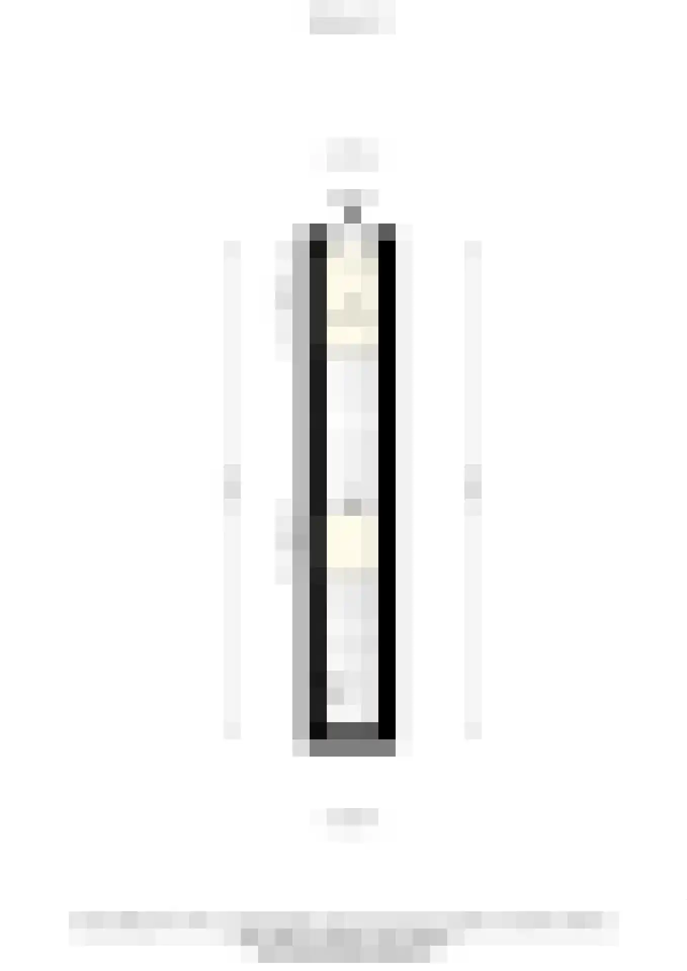 Marconistraat 91 A Schiedam thumbnail 40