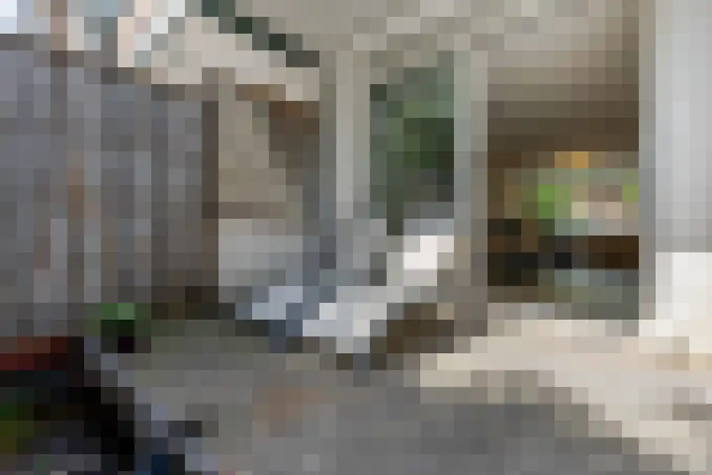 Marconistraat 91 B Schiedam thumbnail 18