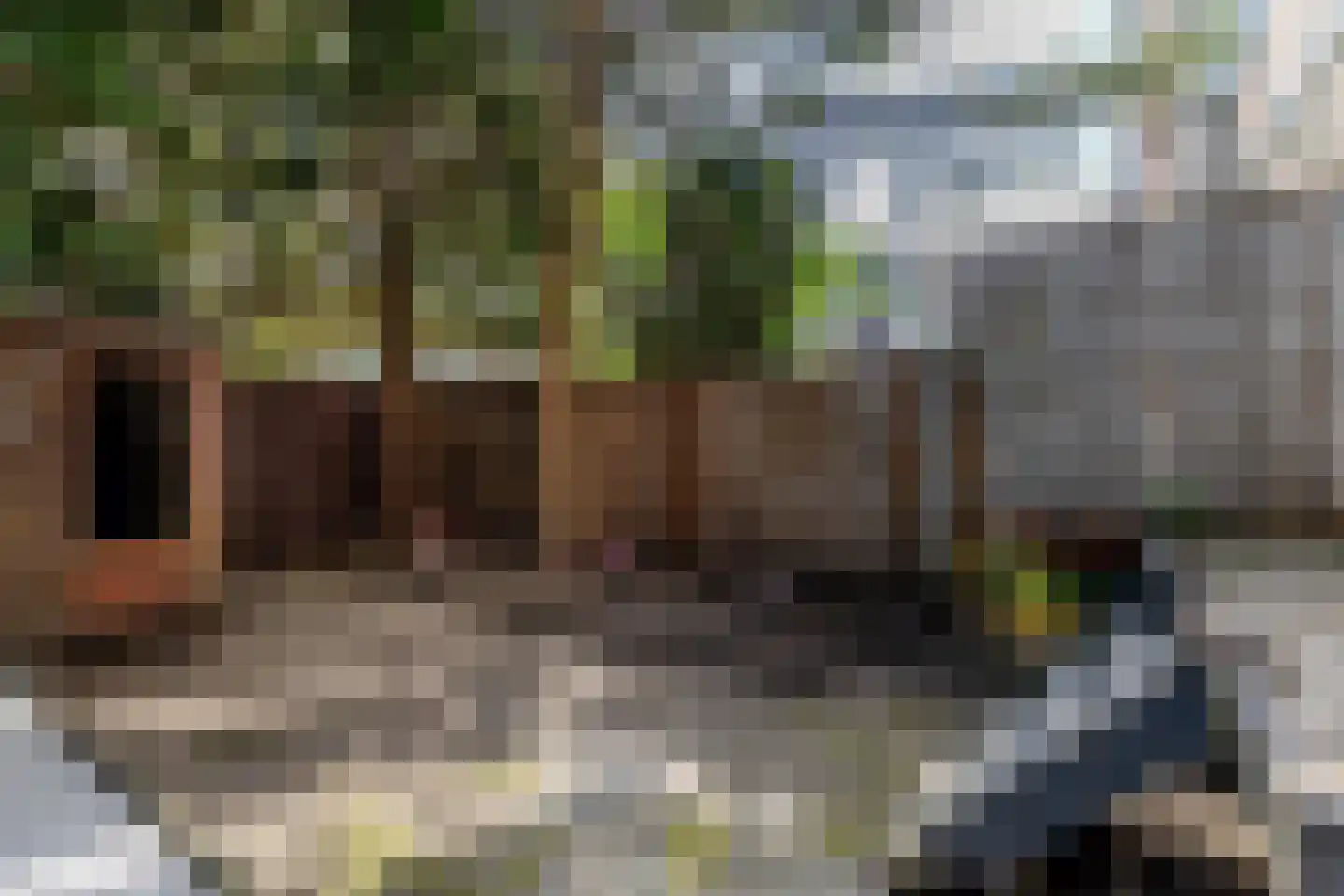 Marconistraat 91 B Schiedam thumbnail 19