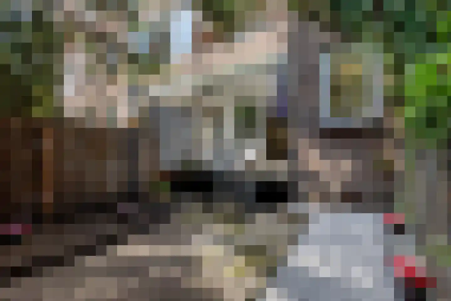 Marconistraat 91 B Schiedam thumbnail 20