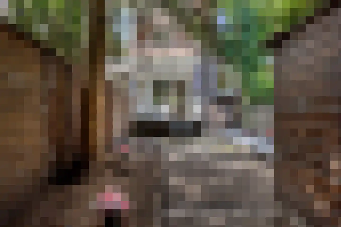 Marconistraat 91 B Schiedam thumbnail 21