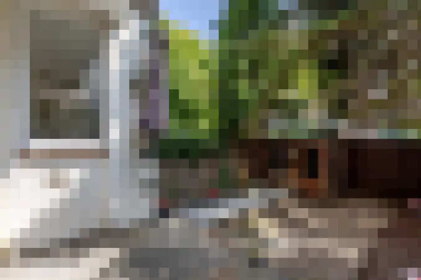 Marconistraat 91 B Schiedam thumbnail 22