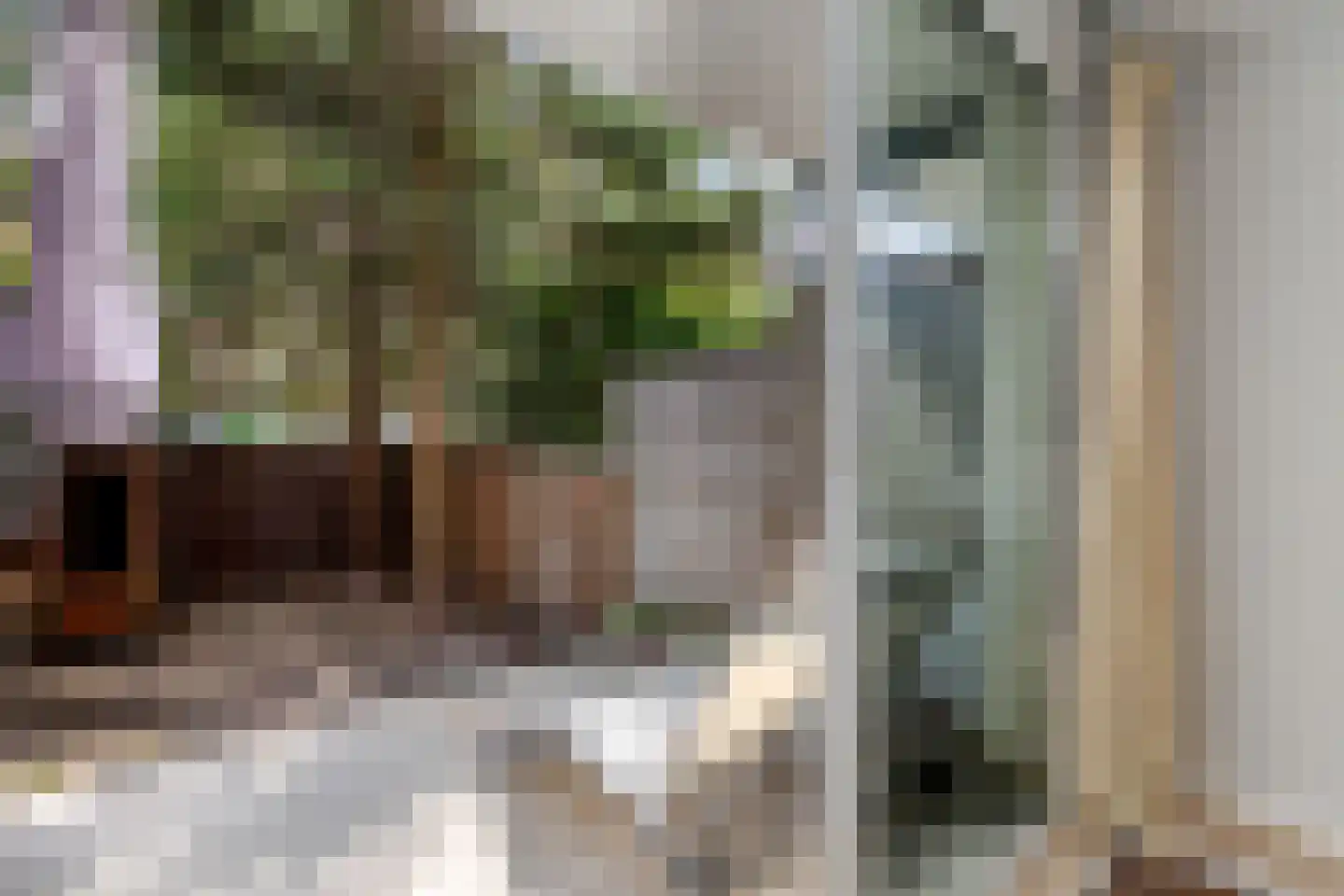 Marconistraat 91 B Schiedam thumbnail 24