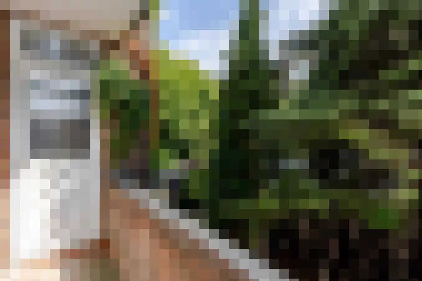Marconistraat 91 B Schiedam thumbnail 33