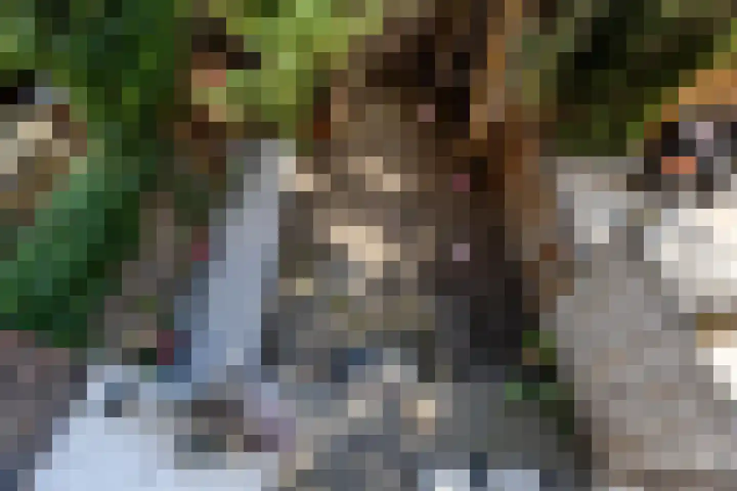 Marconistraat 91 B Schiedam thumbnail 34