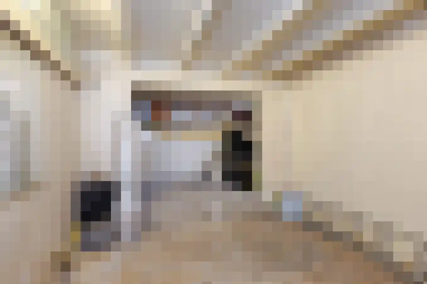 Marconistraat 91 B Schiedam thumbnail 42
