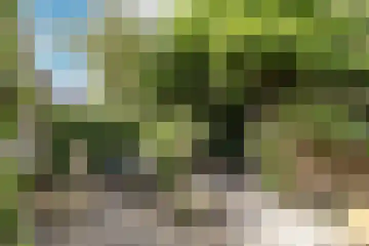 Marconiweg 21 Bussum thumbnail 27