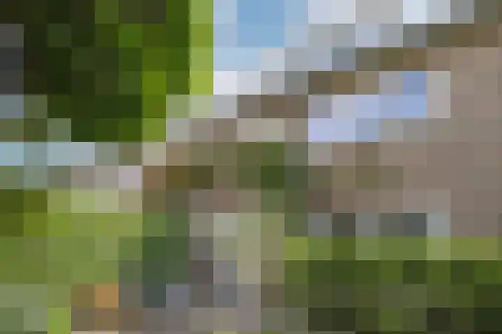 Marconiweg 21 Bussum thumbnail 29