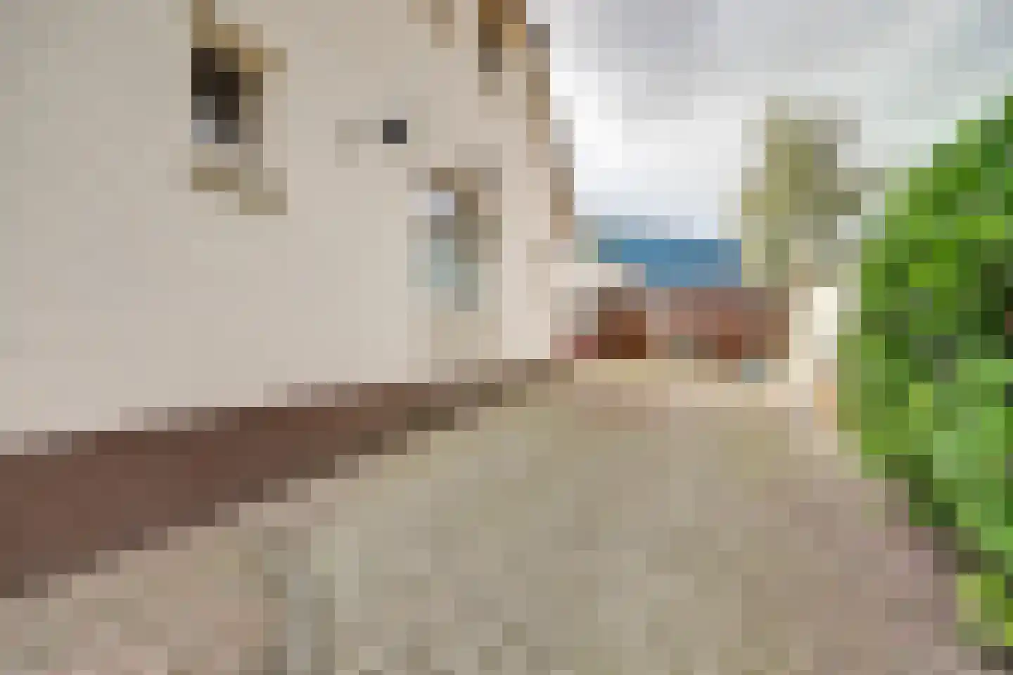 Marconiweg 25 Nunspeet thumbnail 6