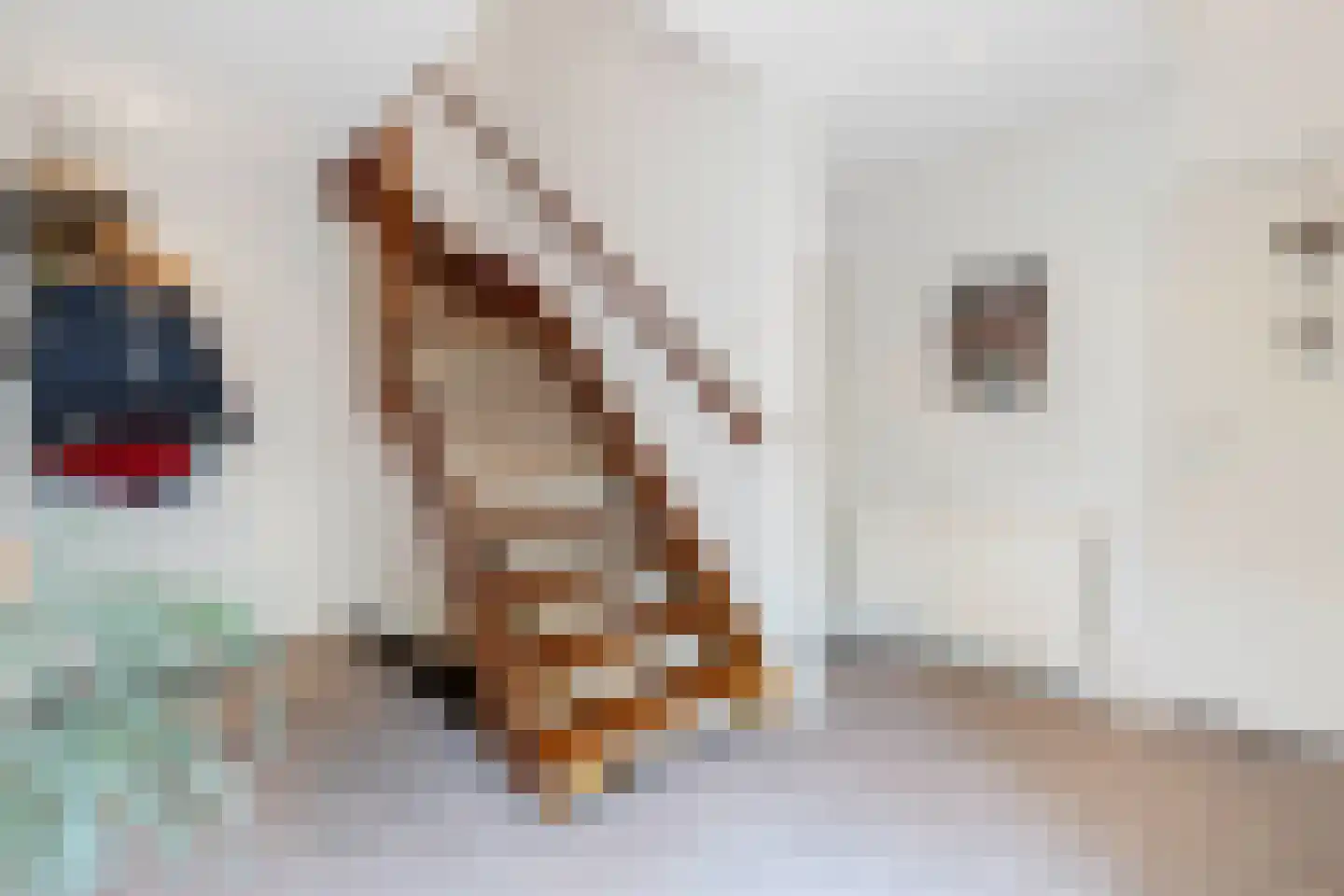Marcus Aureliuslaan 12 Venlo thumbnail 7