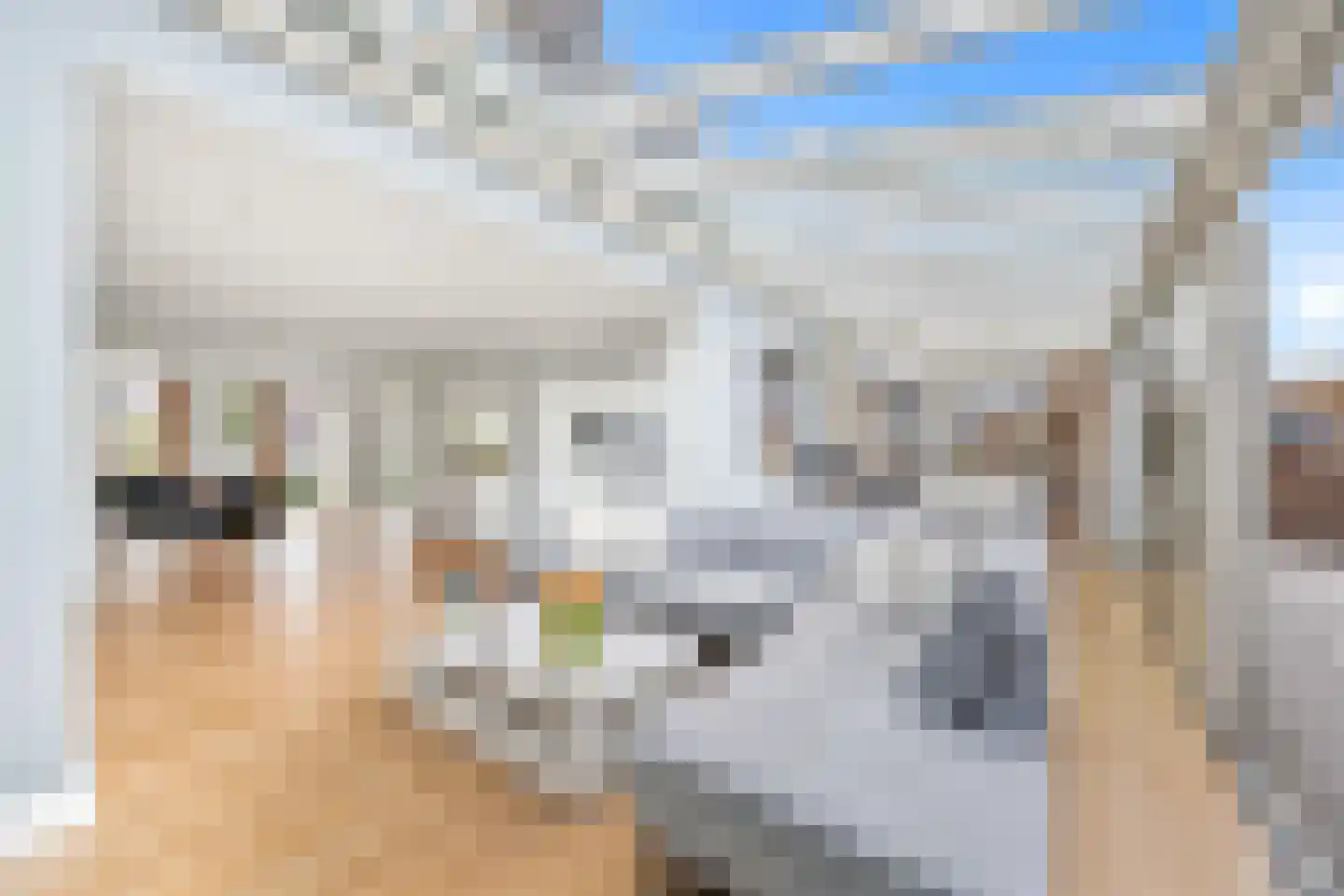 Marcus Aureliuslaan 18 Den Haag thumbnail 19