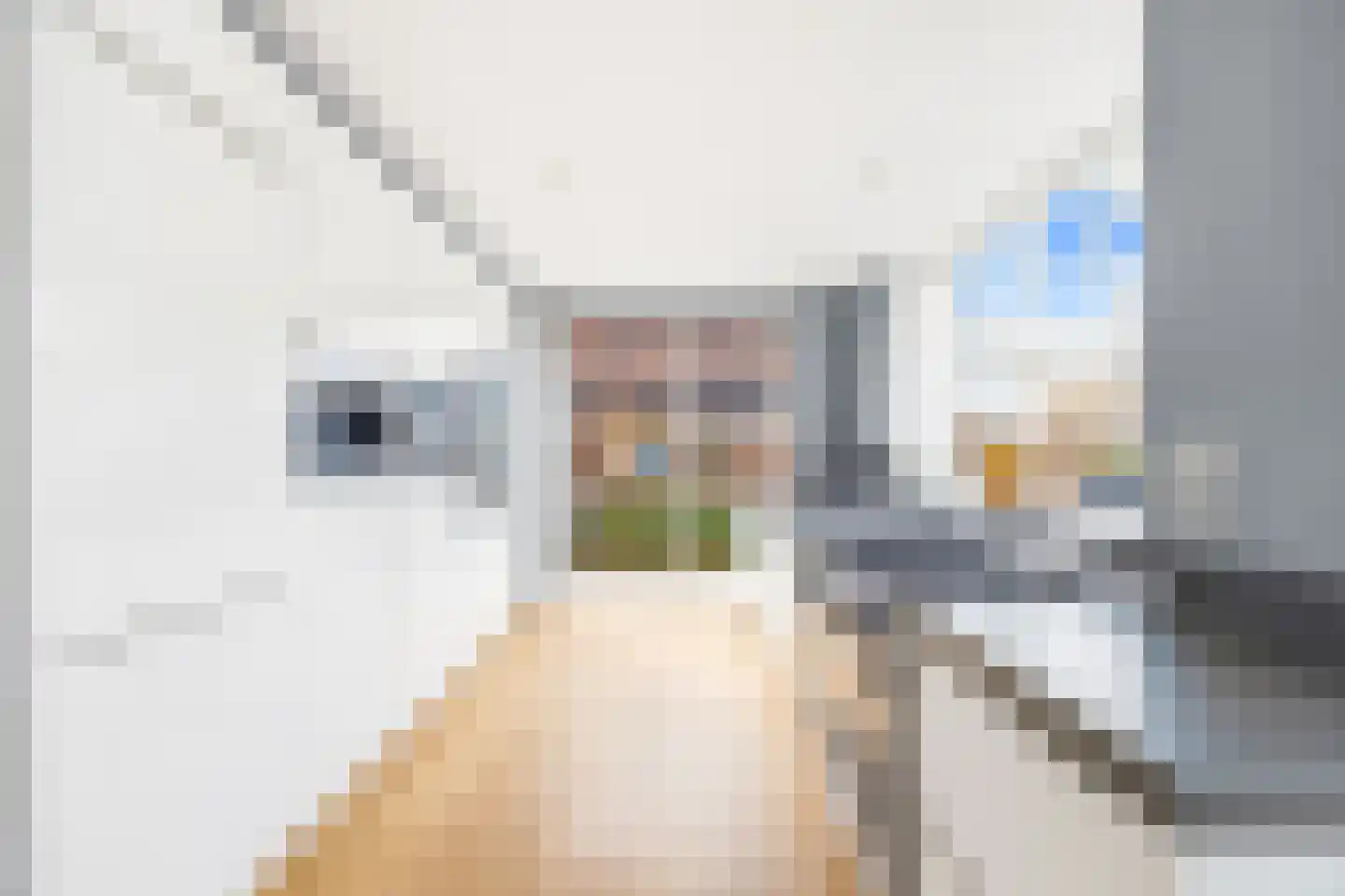 Marcus Aureliuslaan 18 Den Haag thumbnail 25