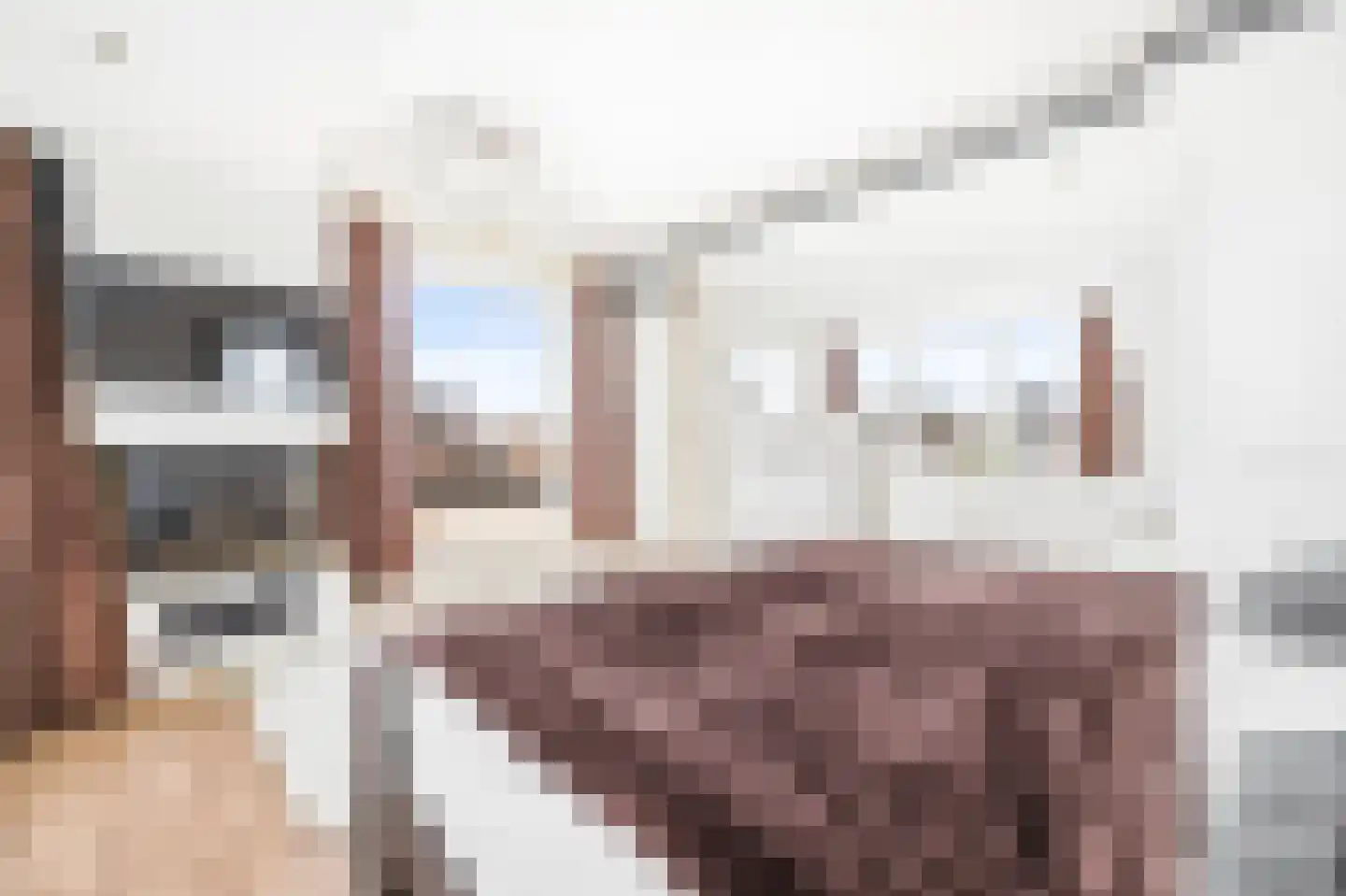 Marcus Aureliuslaan 18 Den Haag thumbnail 4